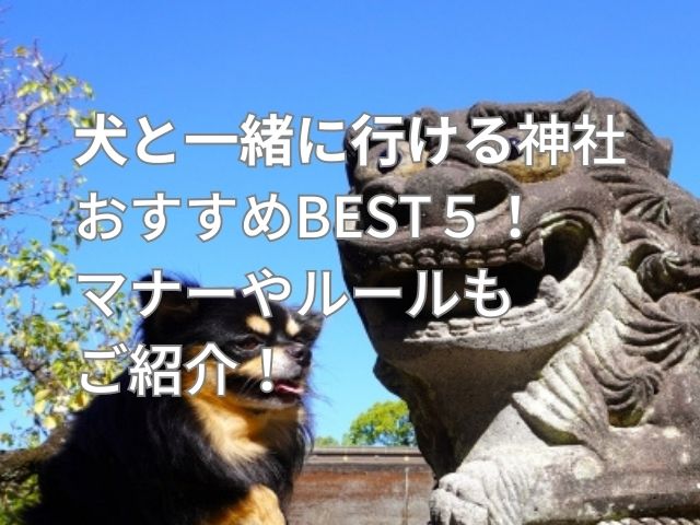 犬と行ける神社のイメージ画像