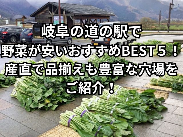 岐阜の道の駅で新鮮野菜を売っているイメージ画像