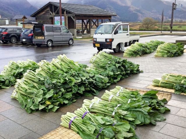 岐阜の道の駅で新鮮野菜を売っているイメージ画像